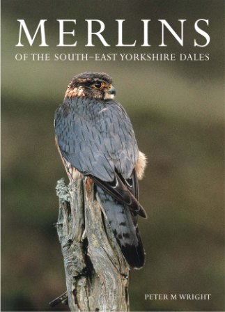 Merlins of the South-easy Yorkshire Dales - Peter M Wright - MED-B003