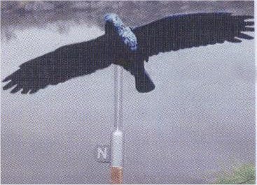 Crow Flying - DEC-CROW-02