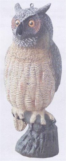 Great Horned Owl - DEC-GRHOW-01